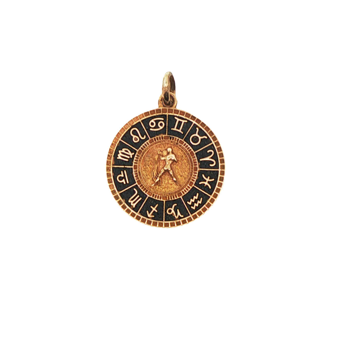Gold and black zodiac pendant on a white background