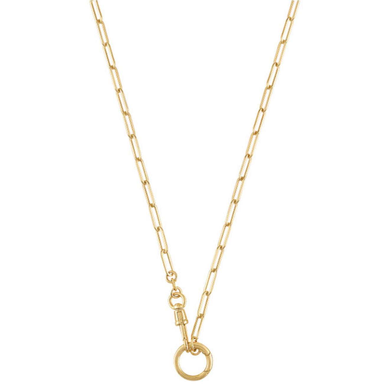 14k Yellow Gold Charm Holder Necklace with Push-in Circle and Clip