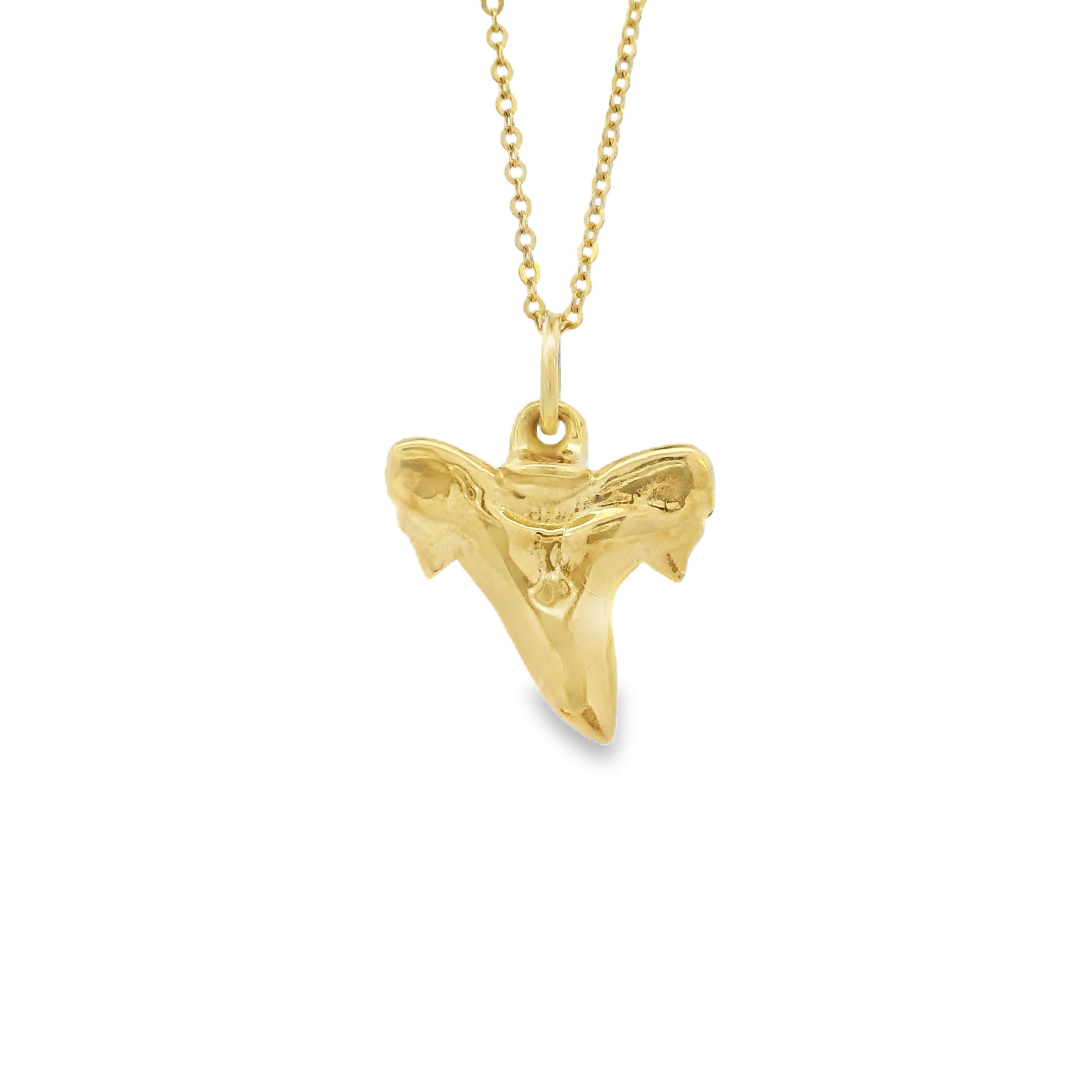 Vintage Shark Tooth 14k Gold Charm