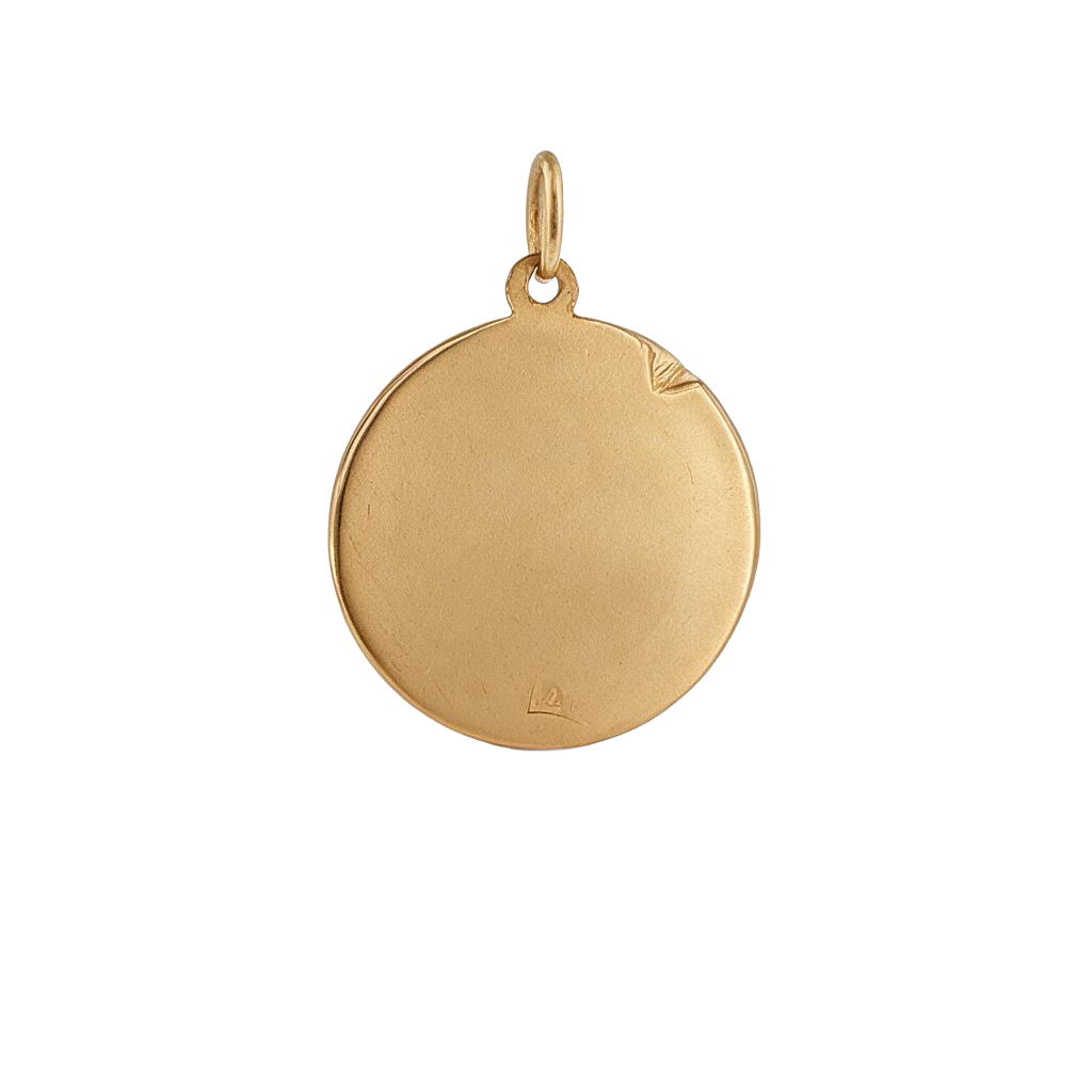 Encanto de oro vintage Virgo Zodiac 14k