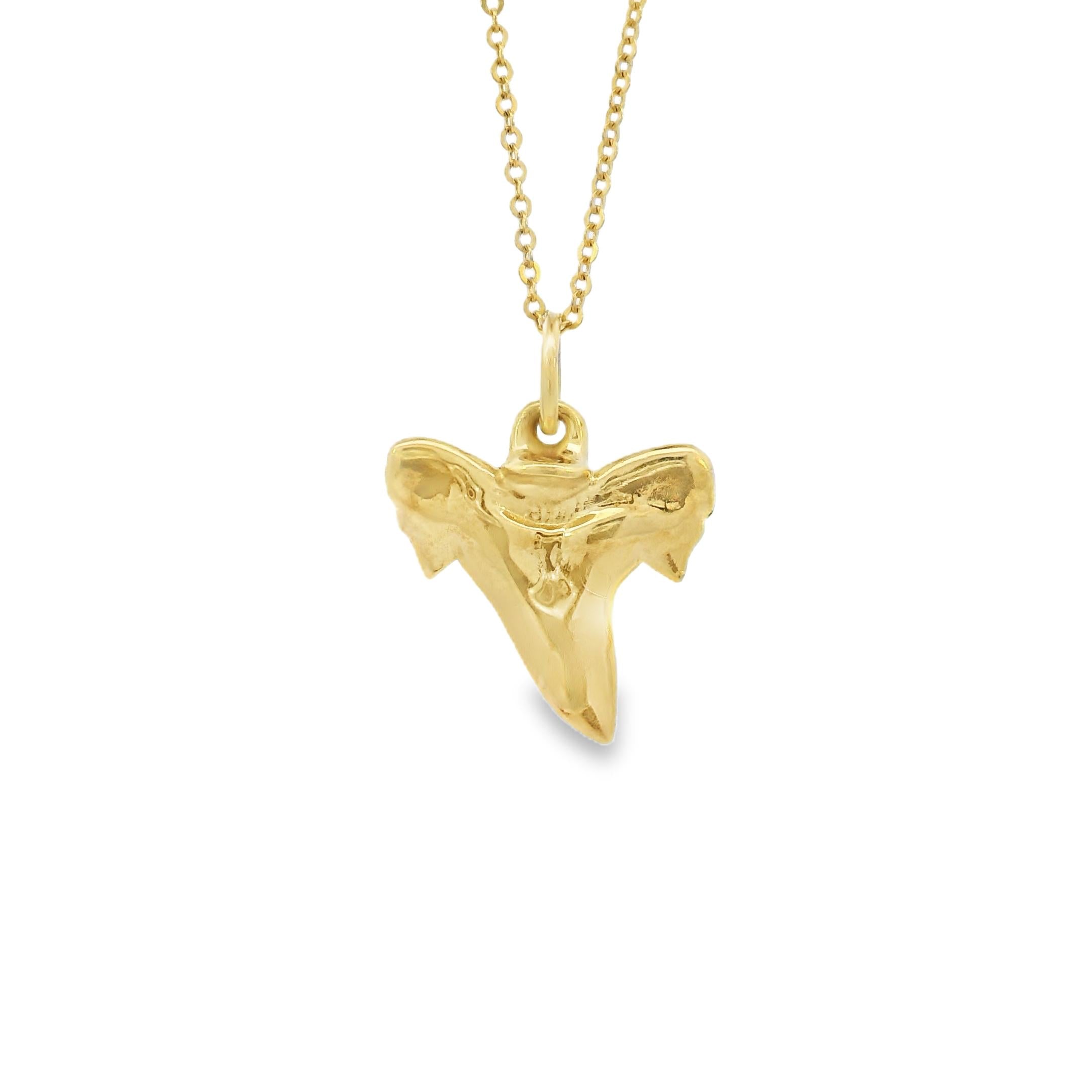 Vintage Shark Tooth 14k Gold Charm